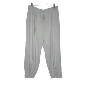 EXPRESS High Rise Jogger Pants Relaxed Fit Elastic Waist Drawstring Gray Size L